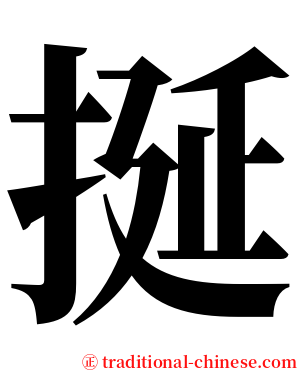 挻 serif font