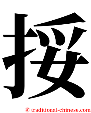 挼 serif font