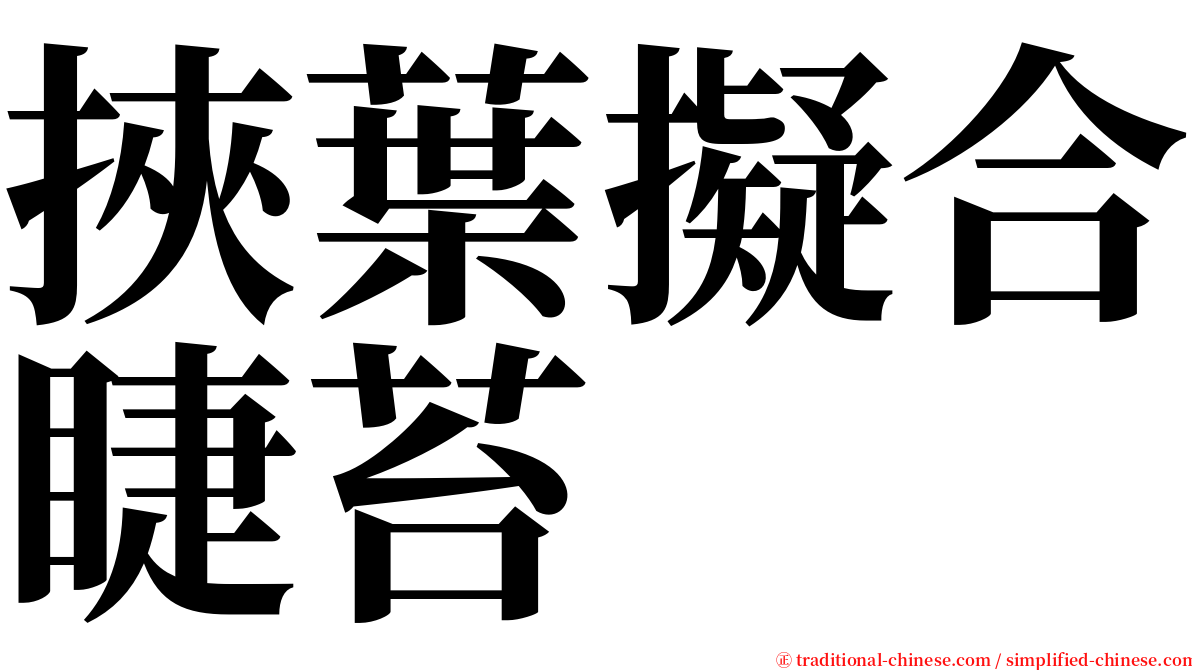 挾葉擬合睫苔 serif font