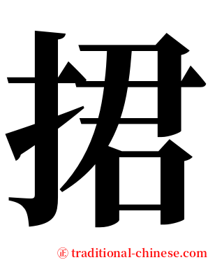 捃 serif font