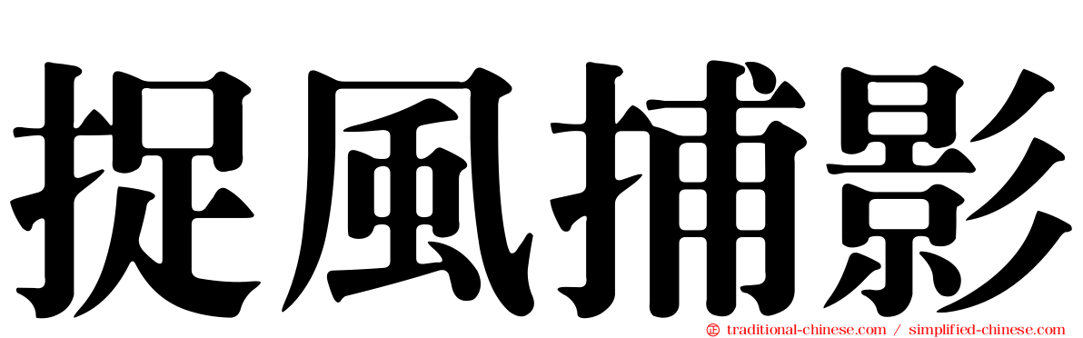 捉風捕影