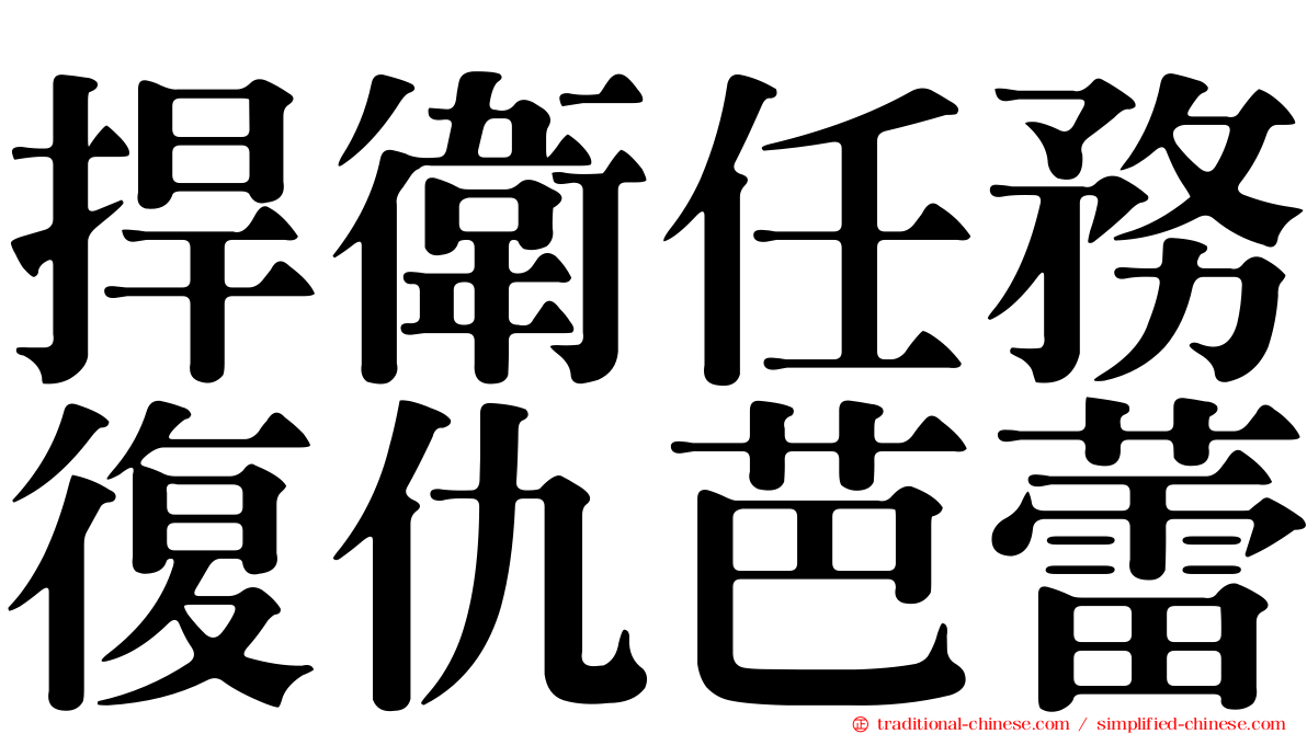 捍衛任務復仇芭蕾