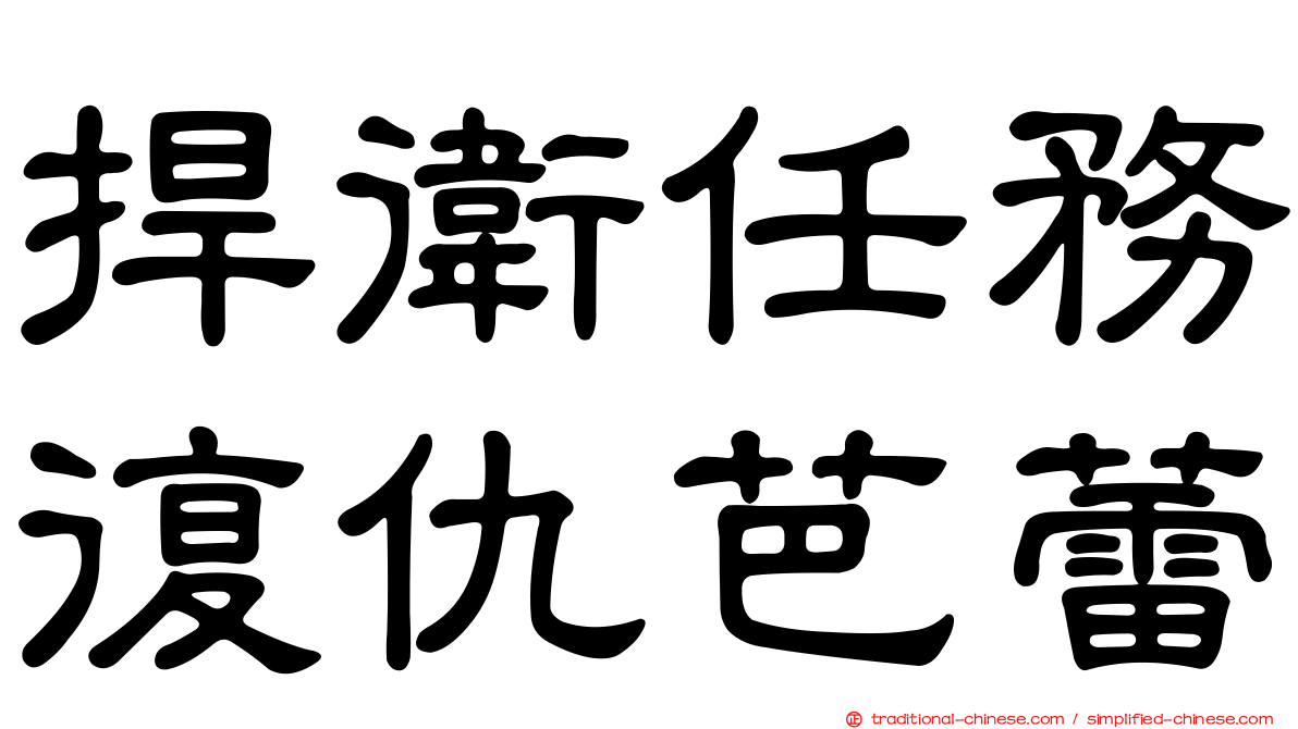捍衛任務復仇芭蕾