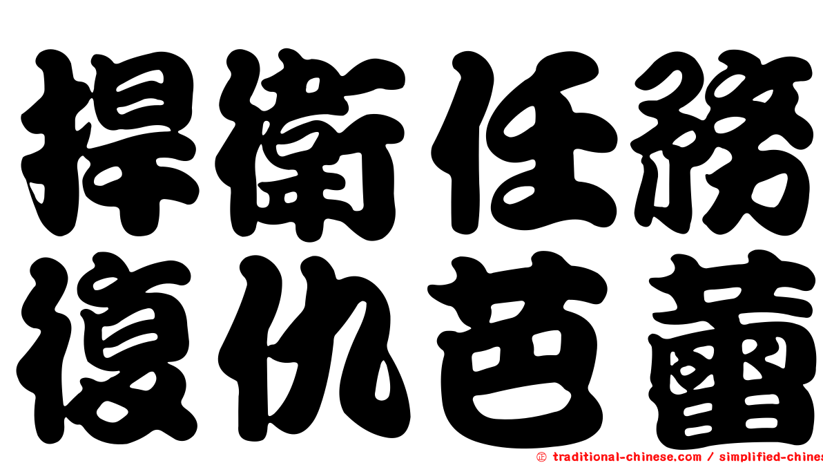 捍衛任務復仇芭蕾