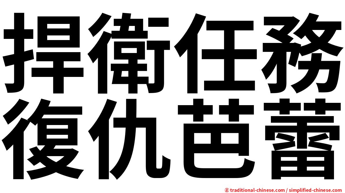 捍衛任務復仇芭蕾