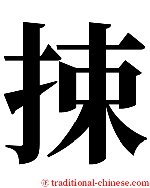捒 serif font
