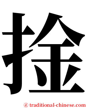捦 serif font