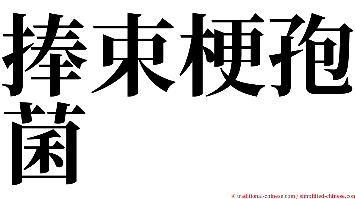 捧束梗孢菌 serif font