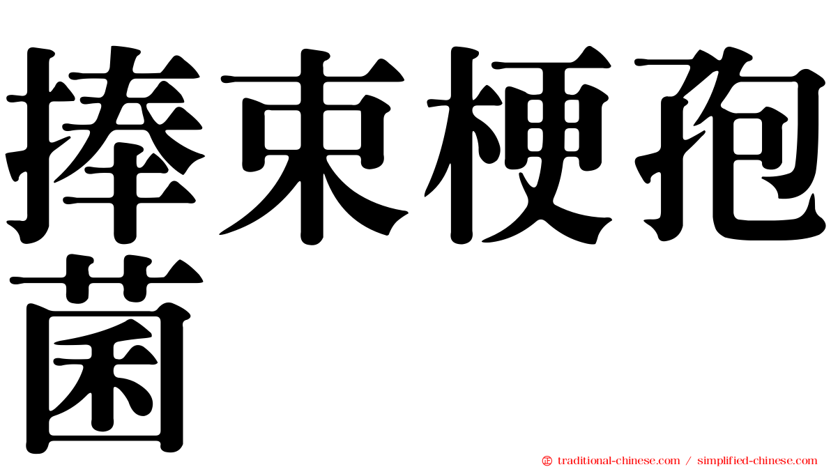 捧束梗孢菌