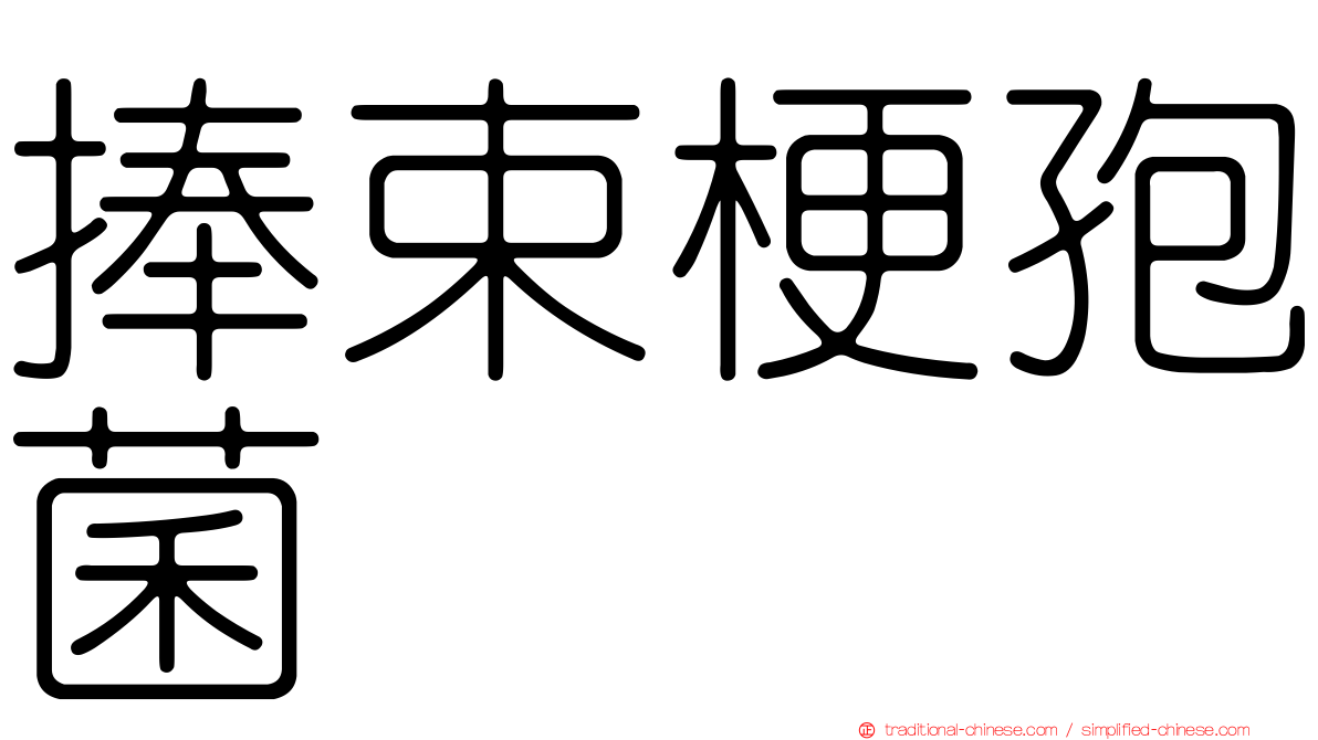捧束梗孢菌