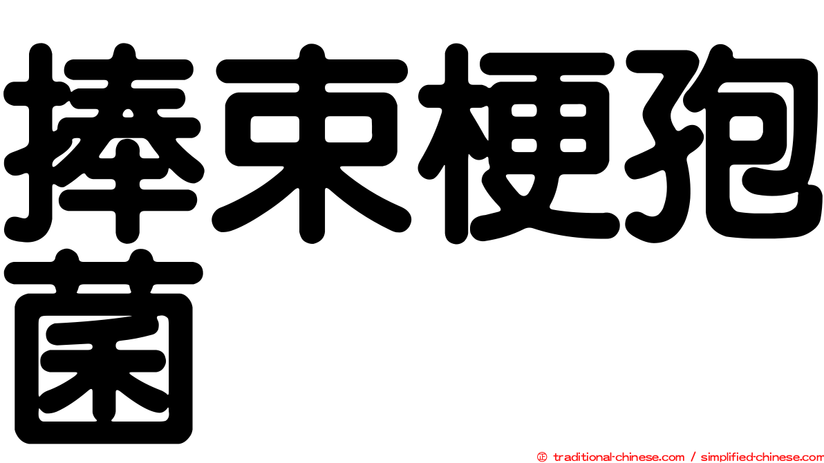 捧束梗孢菌