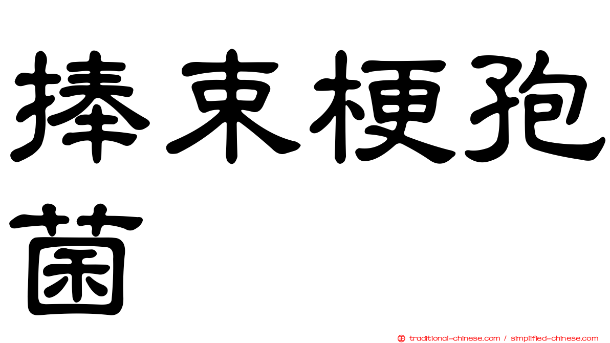 捧束梗孢菌