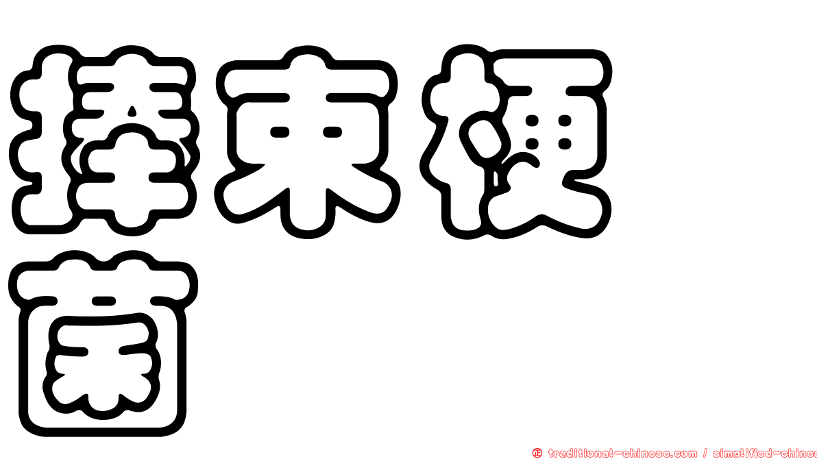 捧束梗孢菌