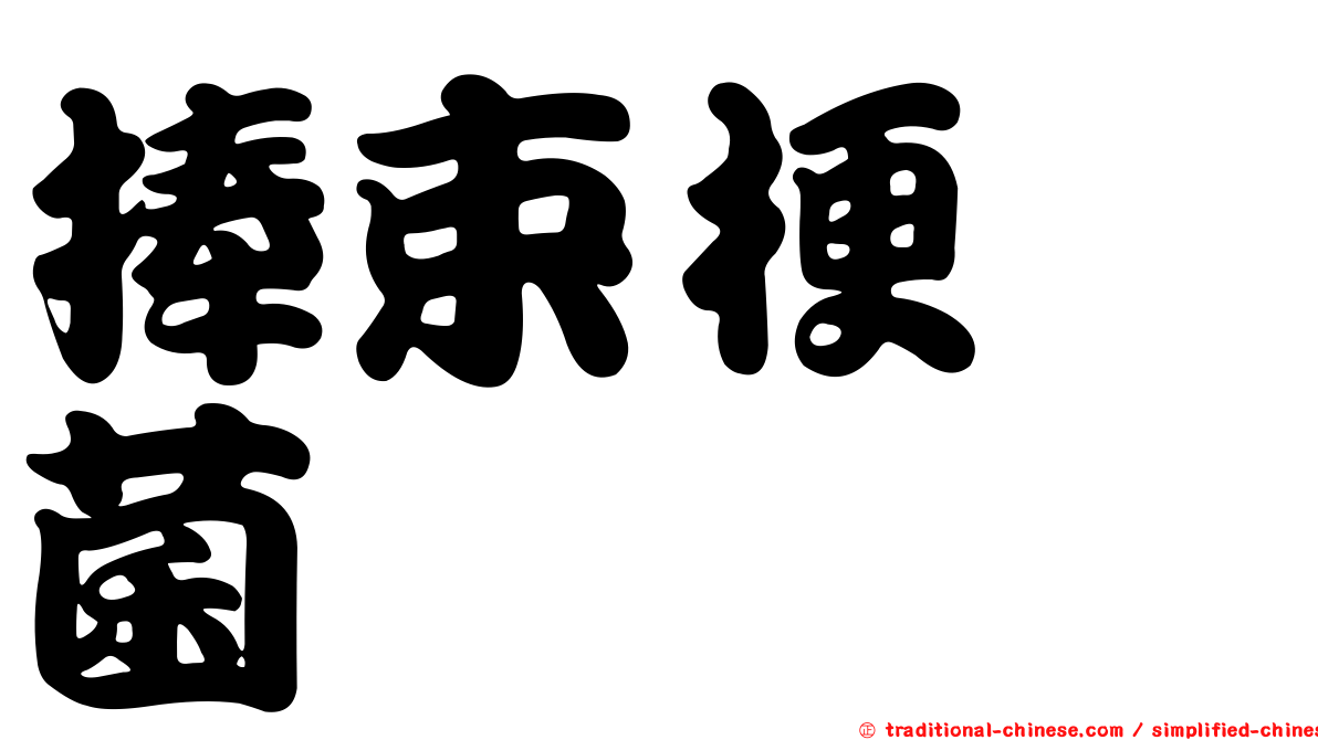 捧束梗孢菌
