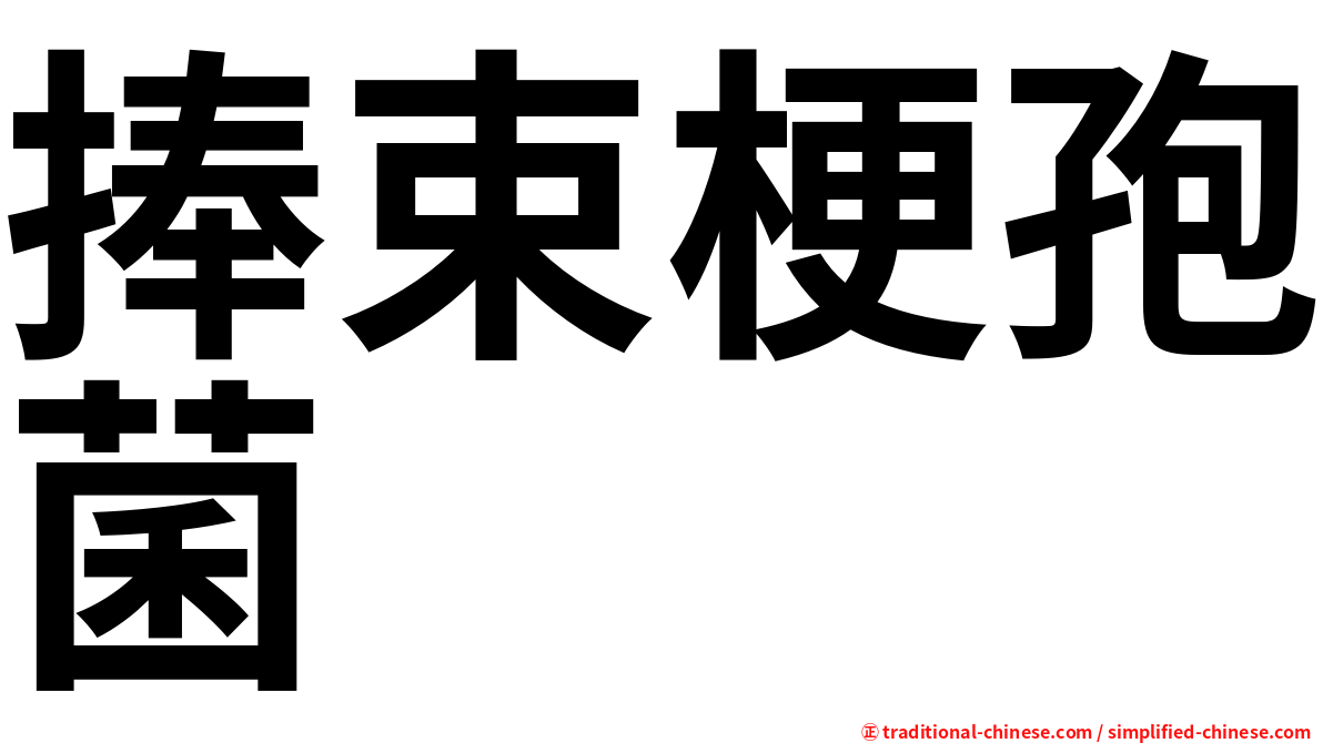 捧束梗孢菌