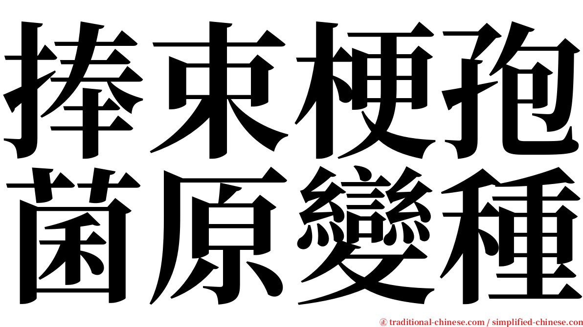 捧束梗孢菌原變種 serif font