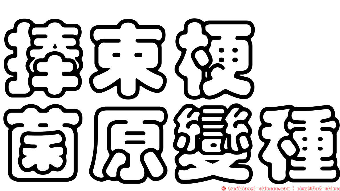 捧束梗孢菌原變種