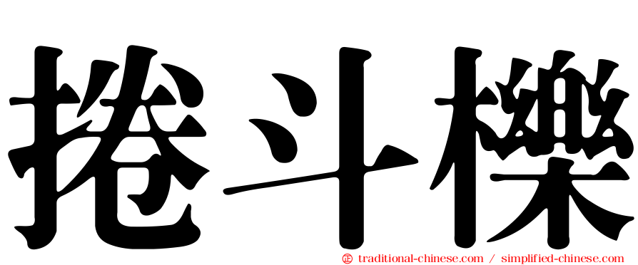 捲斗櫟