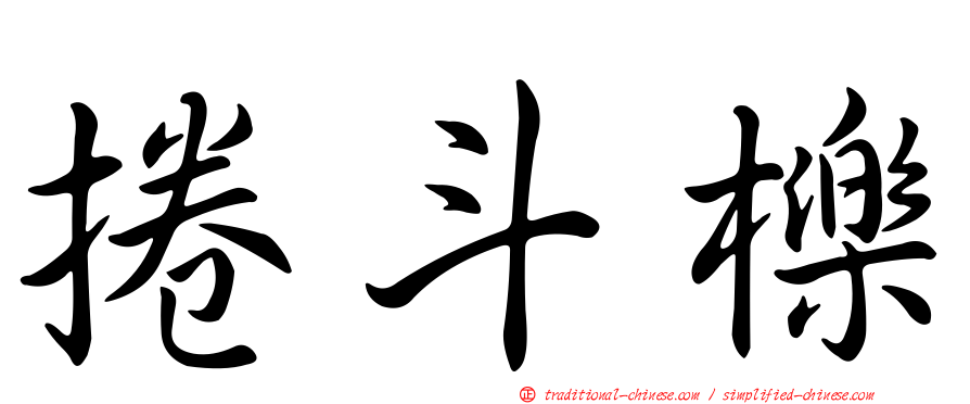 捲斗櫟