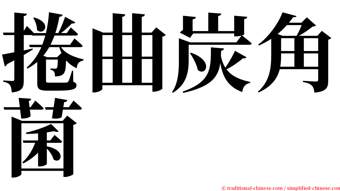 捲曲炭角菌 serif font