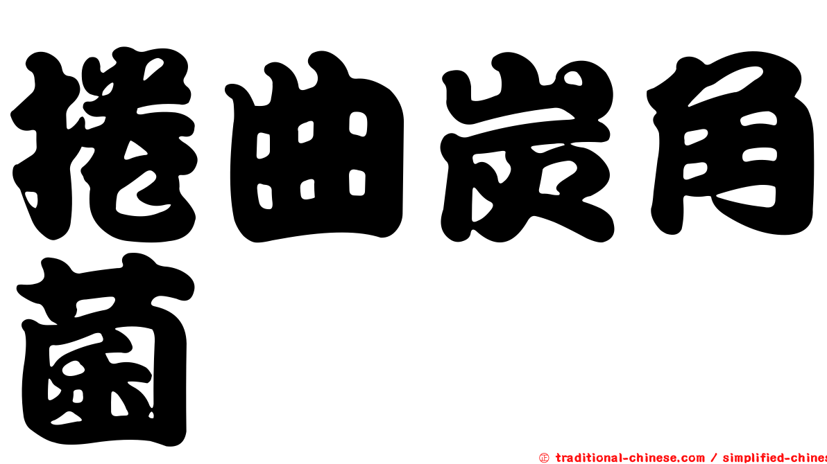 捲曲炭角菌