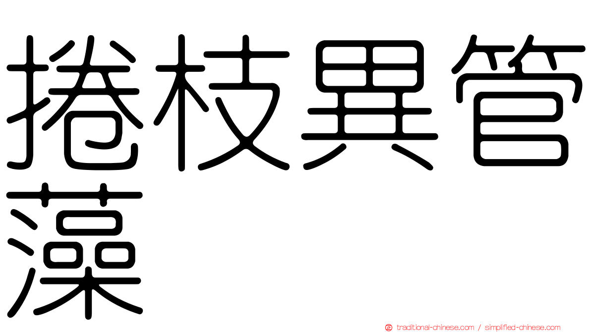 捲枝異管藻