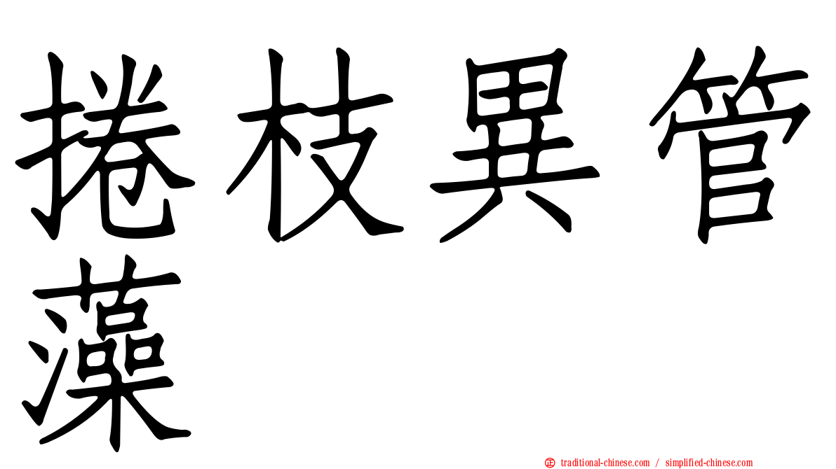 捲枝異管藻