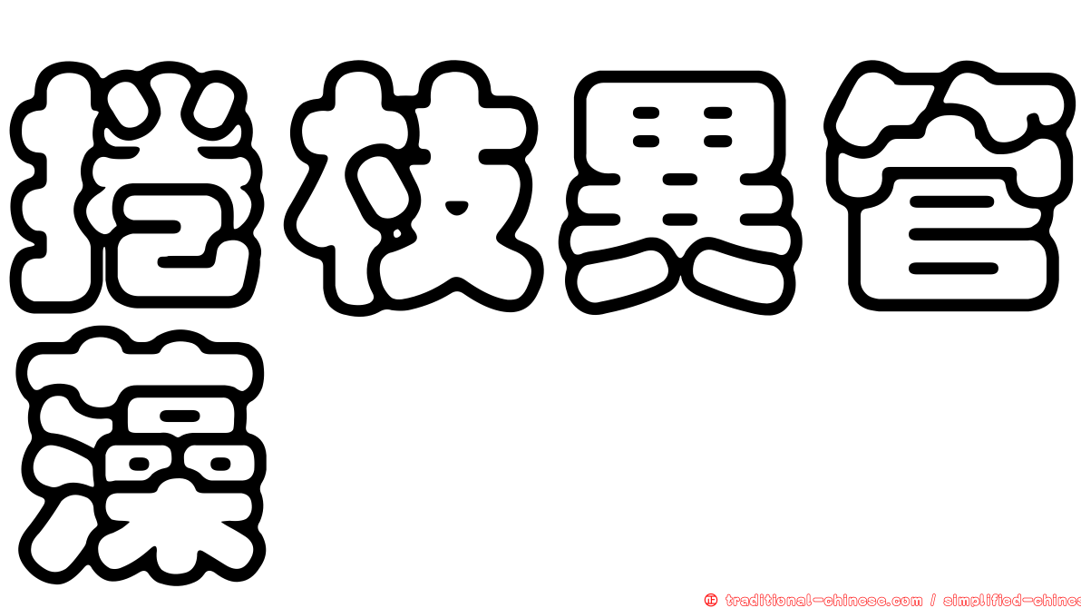 捲枝異管藻
