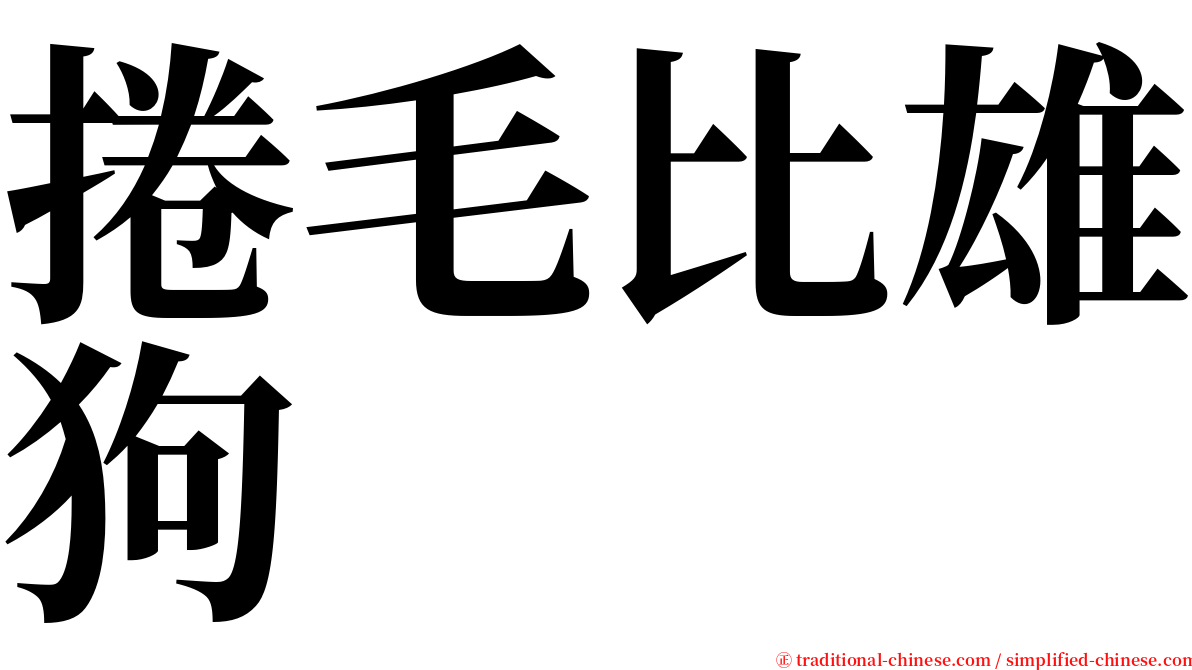 捲毛比雄狗 serif font