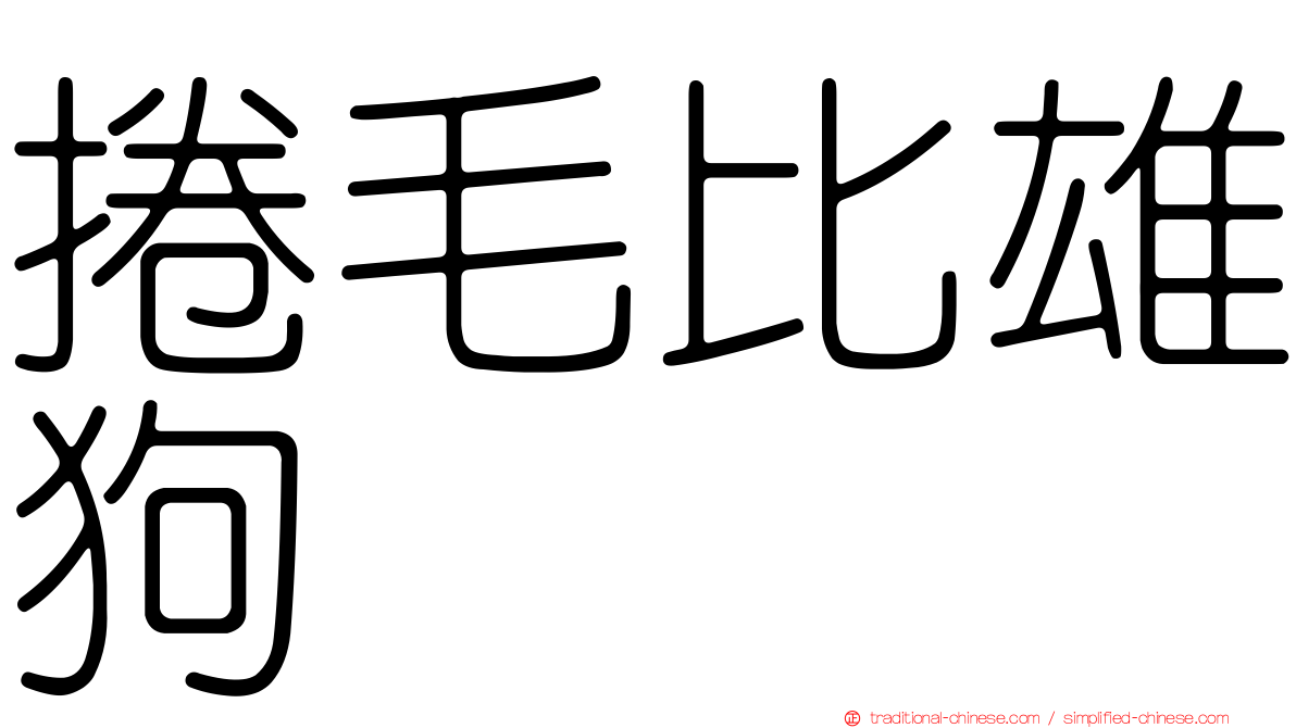 捲毛比雄狗