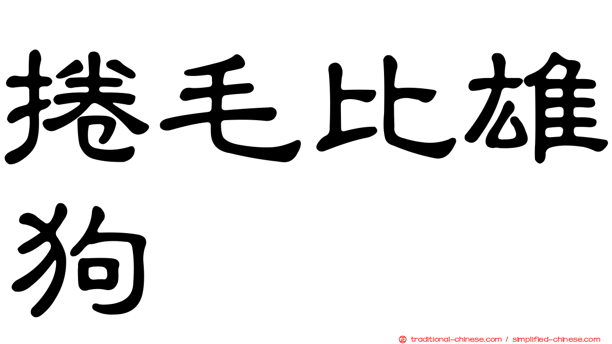 捲毛比雄狗