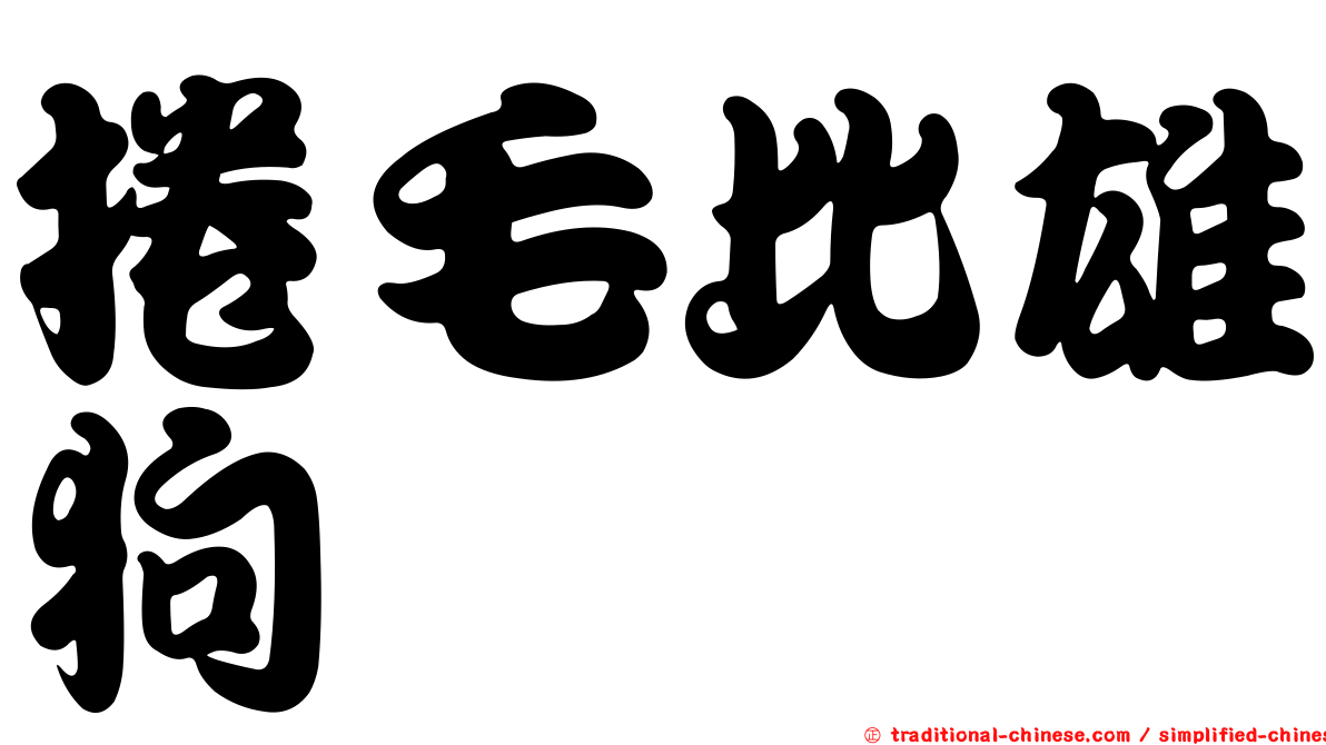 捲毛比雄狗