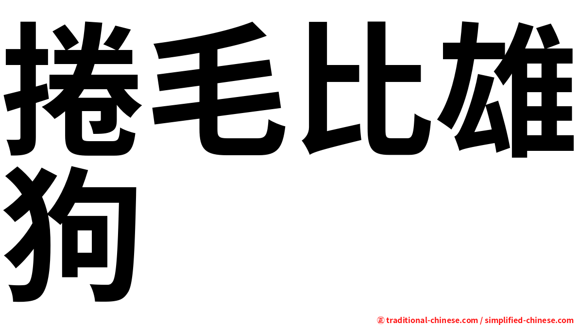 捲毛比雄狗