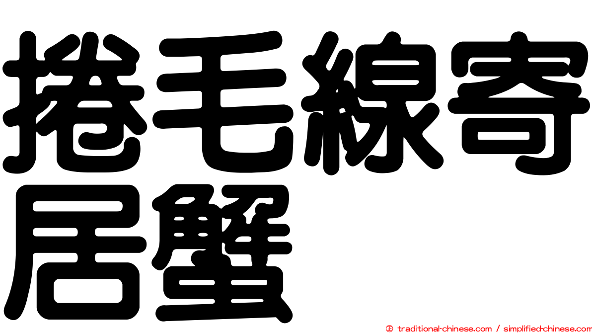捲毛線寄居蟹