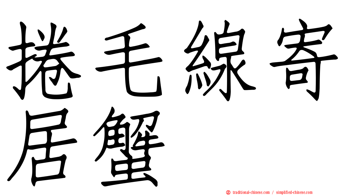 捲毛線寄居蟹