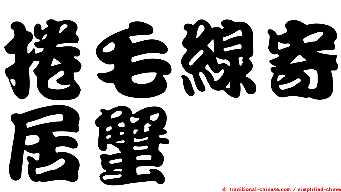 捲毛線寄居蟹