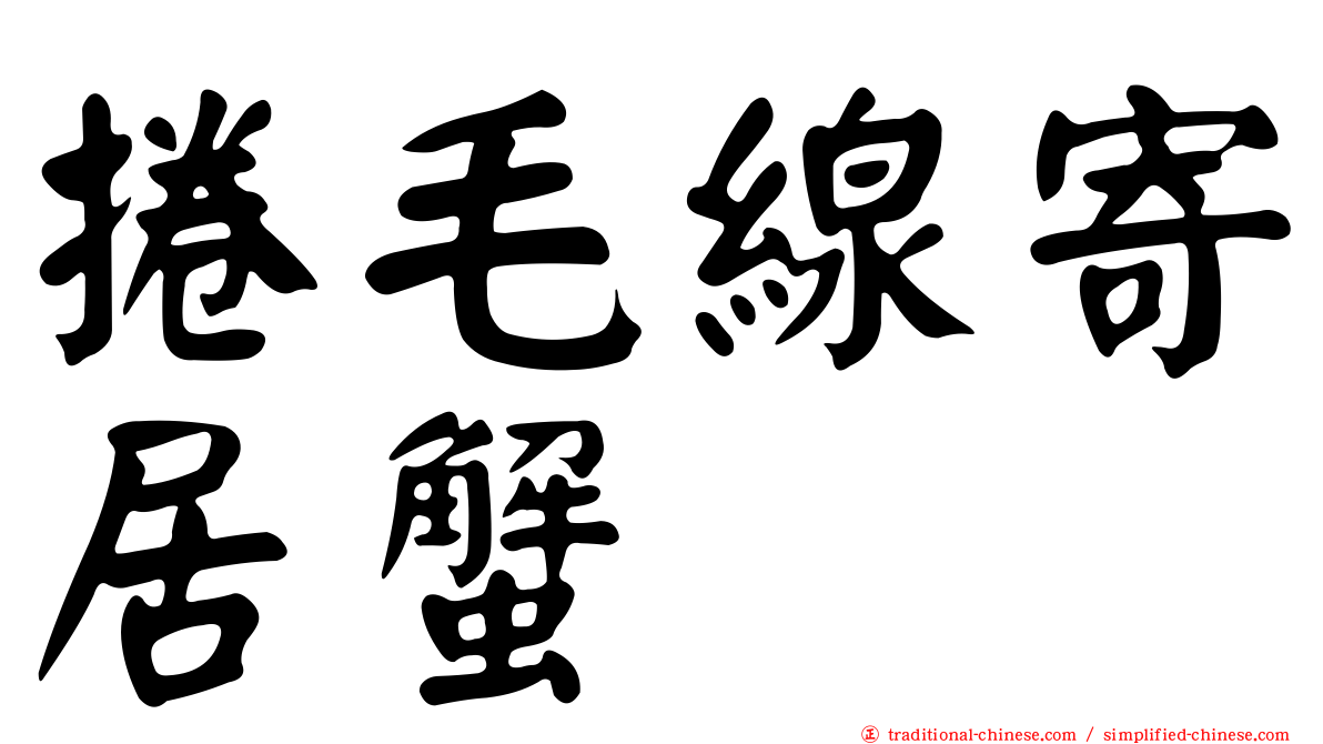 捲毛線寄居蟹