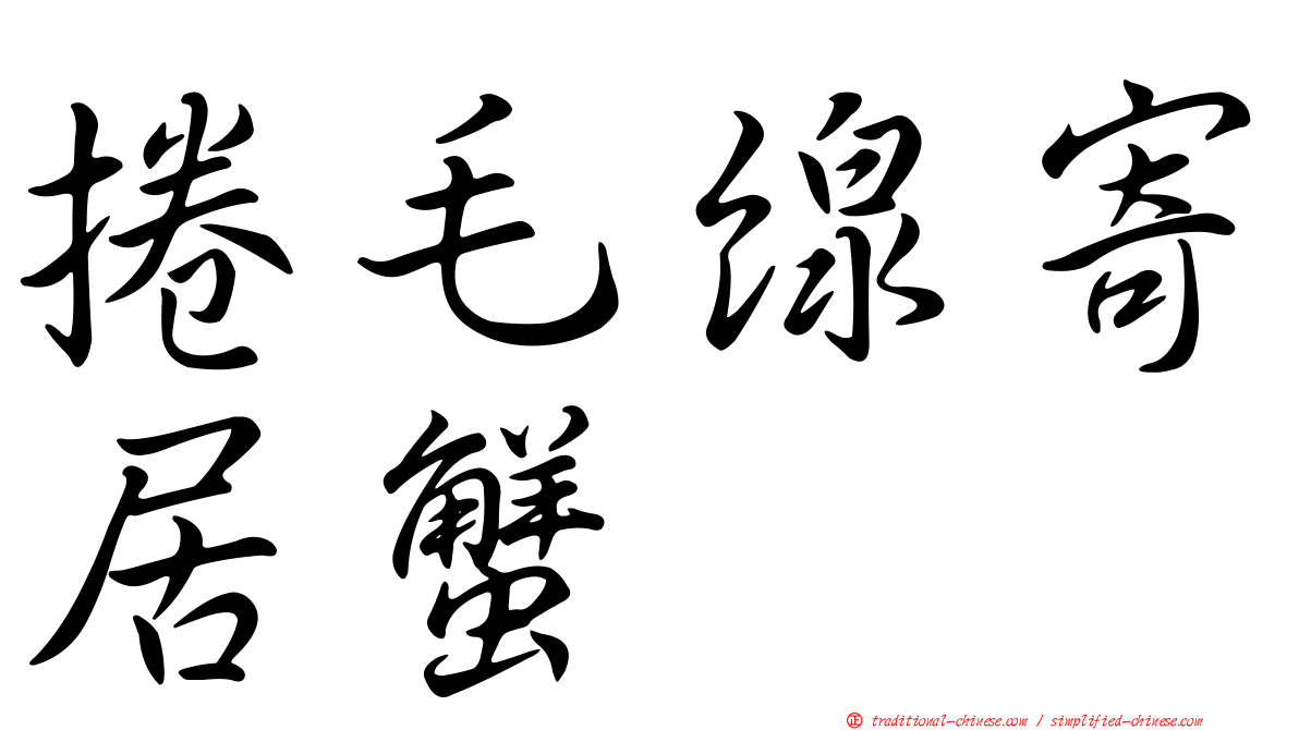 捲毛線寄居蟹