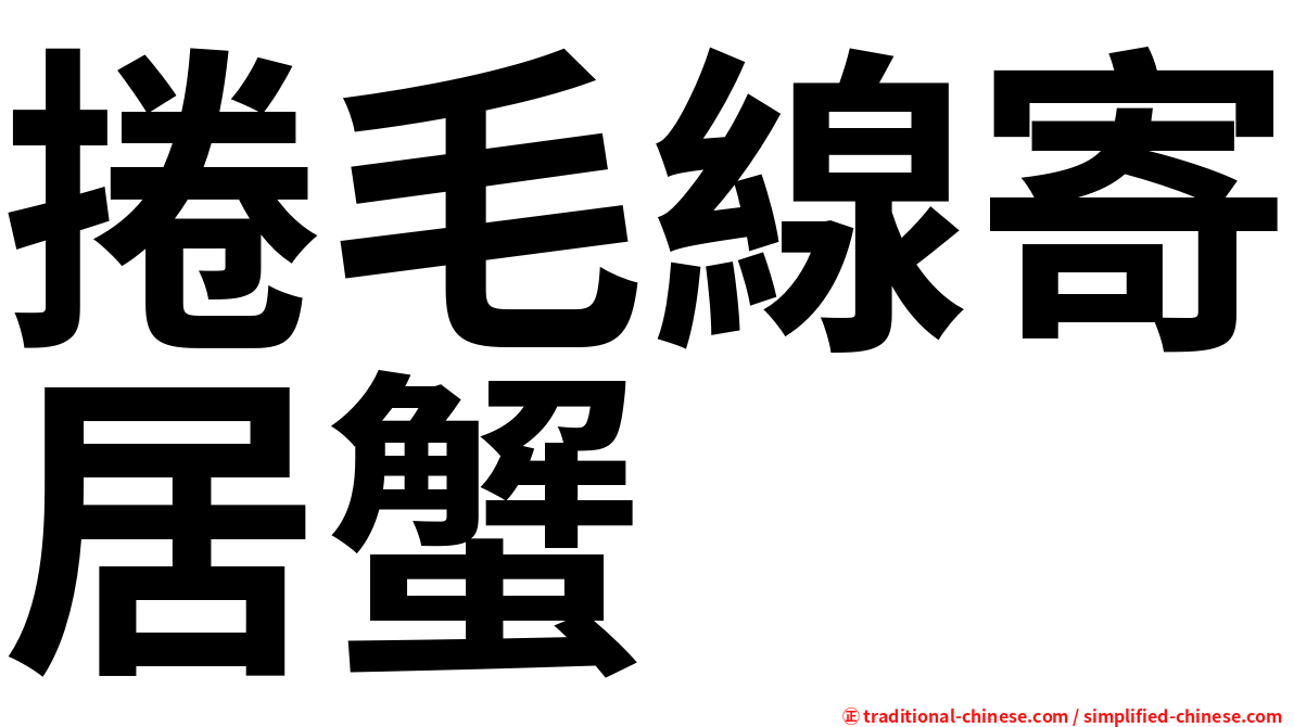 捲毛線寄居蟹