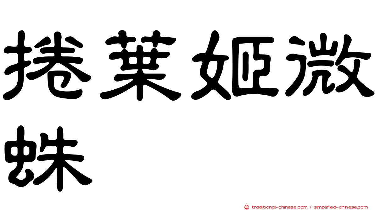 捲葉姬微蛛
