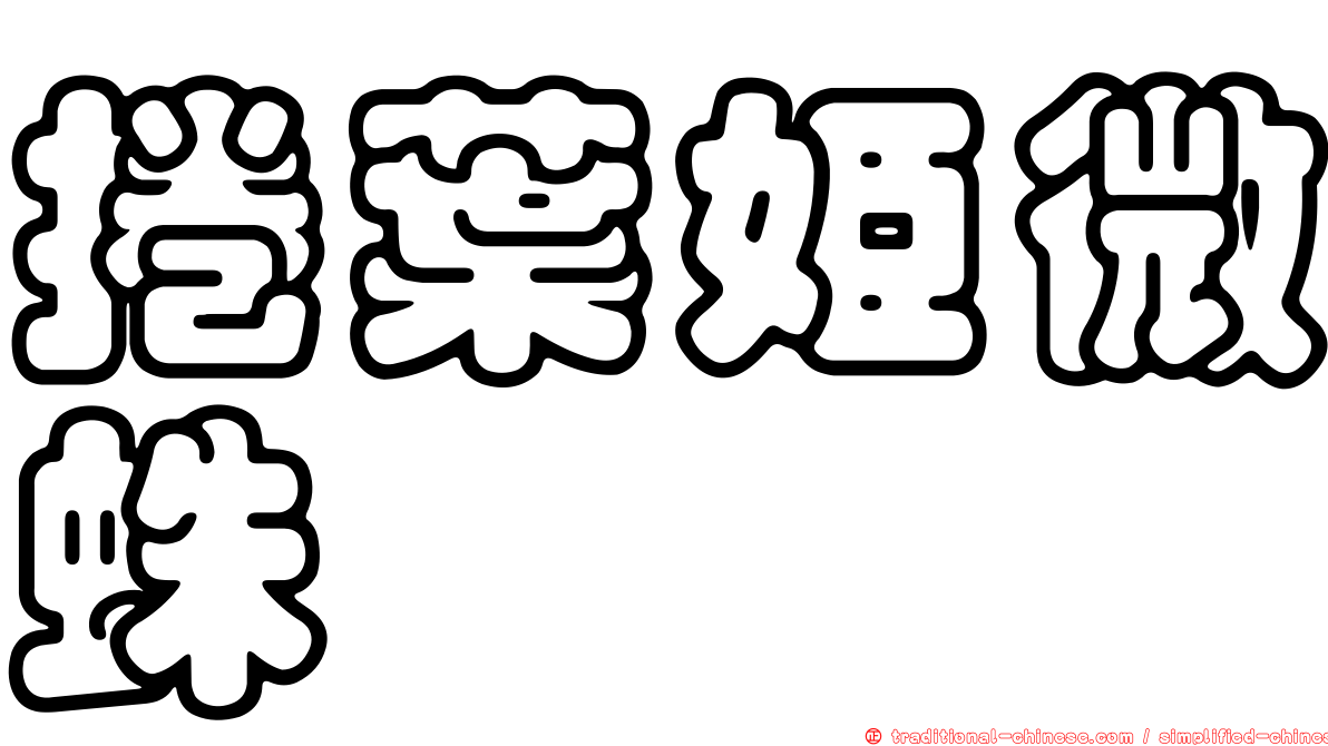 捲葉姬微蛛