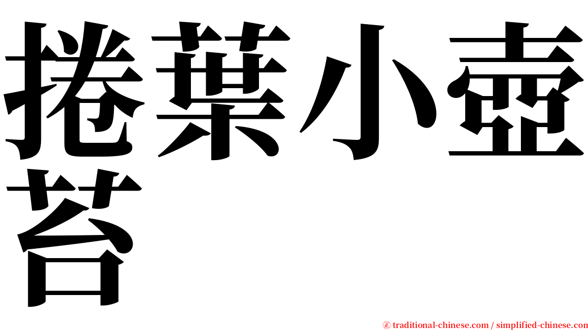 捲葉小壺苔 serif font