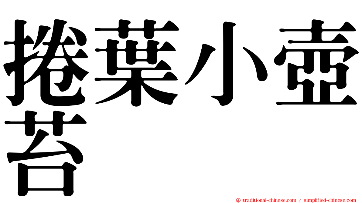 捲葉小壺苔