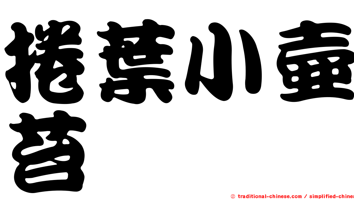 捲葉小壺苔