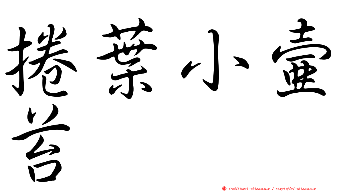 捲葉小壺苔