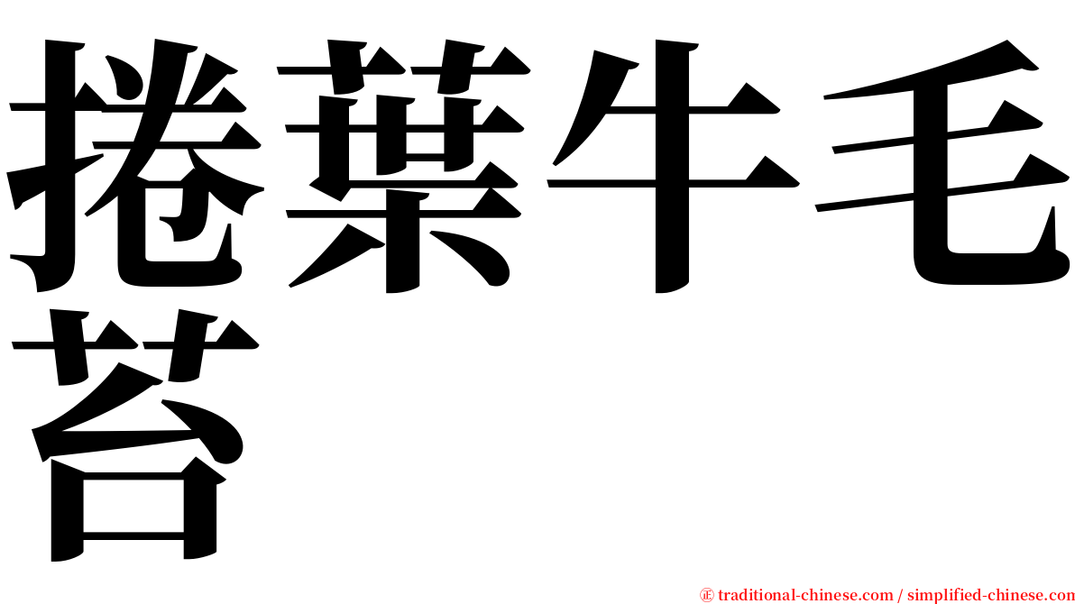 捲葉牛毛苔 serif font