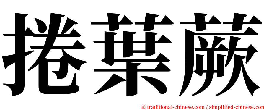 捲葉蕨 serif font