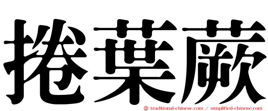 捲葉蕨