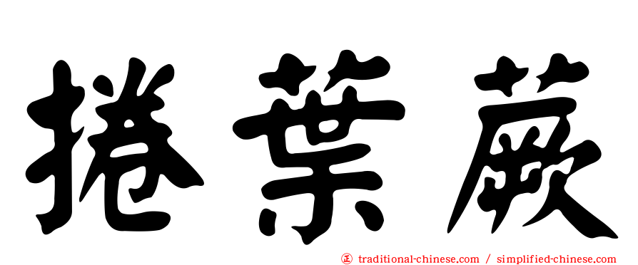 捲葉蕨