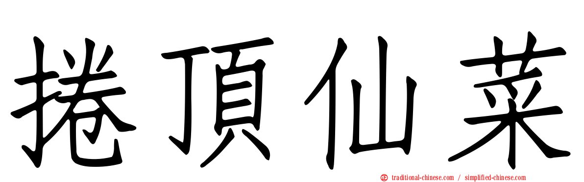 捲頂仙菜